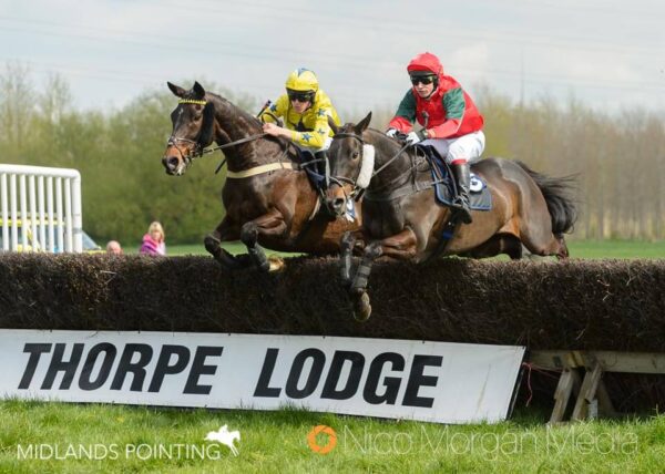 Rebel Benefit (Rory Bevin) and Warden Hill (Tom Chatfeild Roberts)