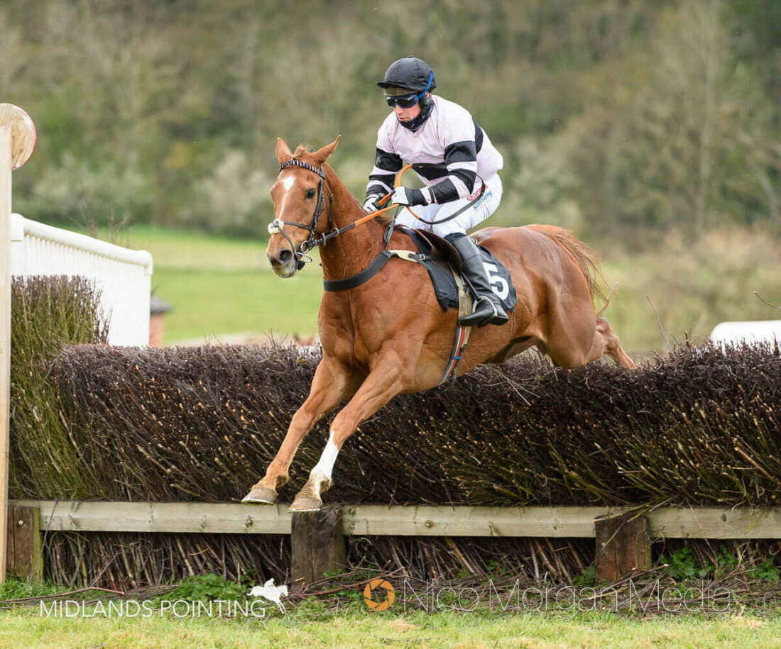 FIER JAGUEN (Bradley Gibbs)