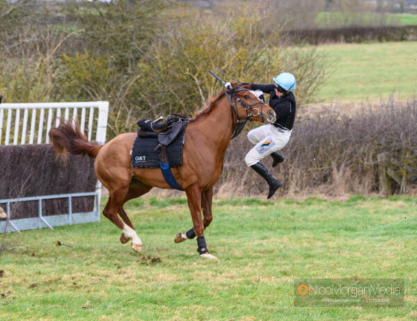 Gina Ellis falls from her horse during a schooling race